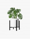 hover image