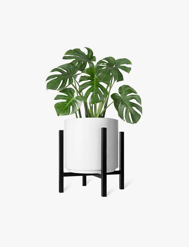 hover image