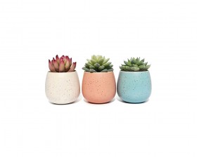 Texture Artificial Plant With Pot